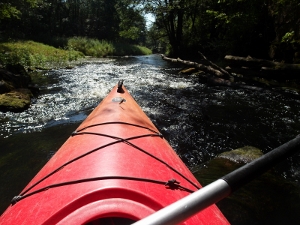 jaros upe 2 - copy 300x225.jpg